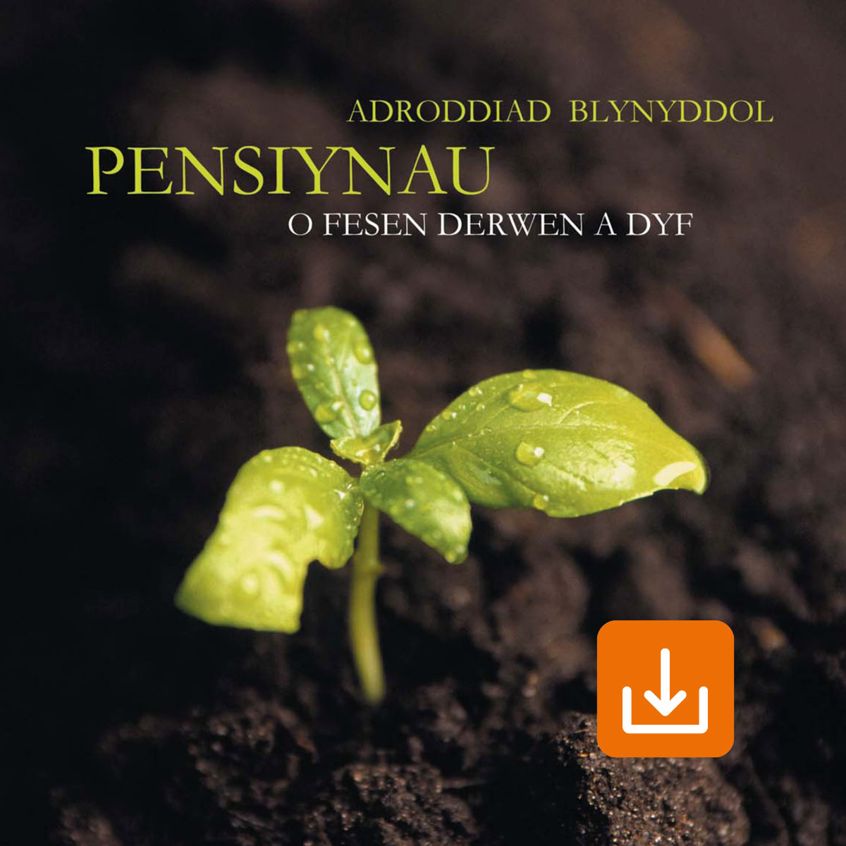 Adroddiad Blynyddol Pensiynau